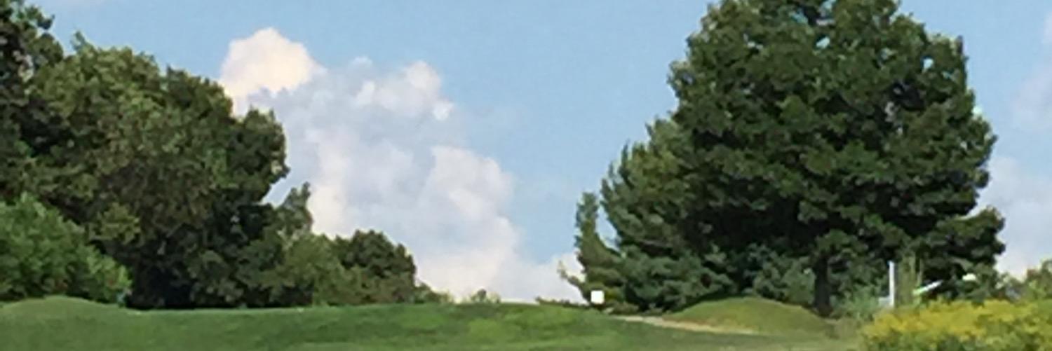 MikeStef91's profile banner image