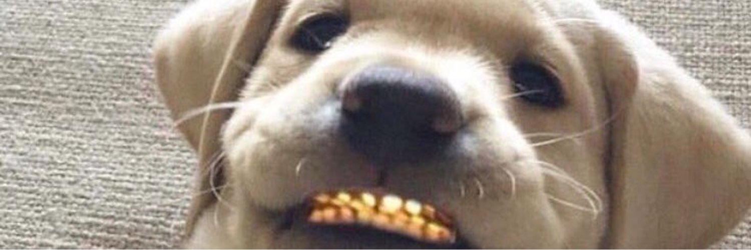 t0rimeredith's profile banner image