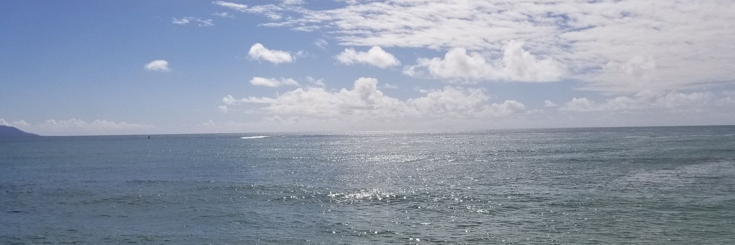 nellecat29's profile banner image