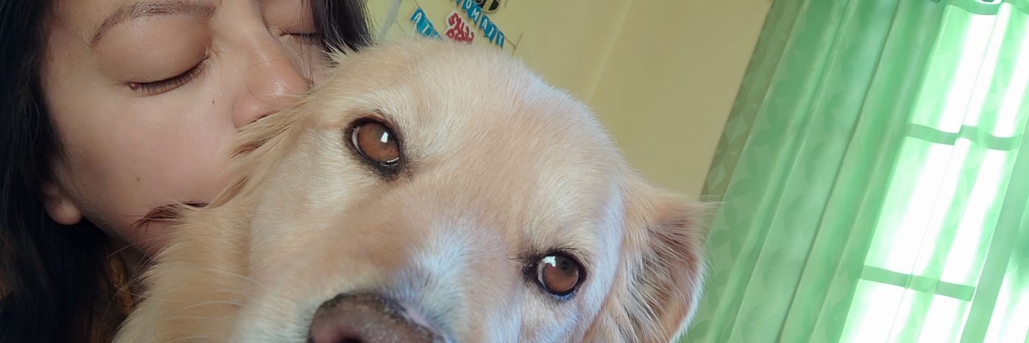 Lidtycastle's profile banner image