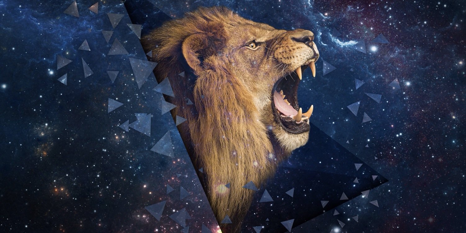 Gonzalez13Jd's profile banner image