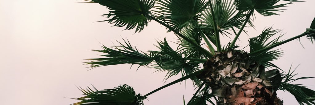 wellman_jenna's profile banner image