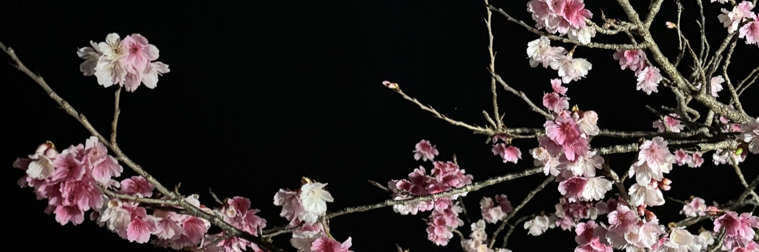 pipoco818's profile banner image