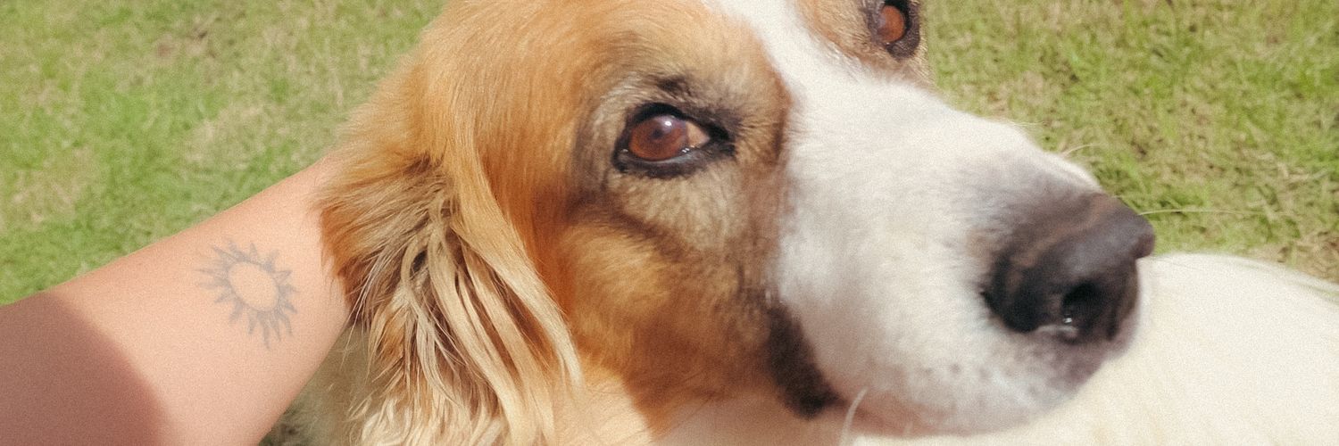 Ana Girls (Minas) 💃 banner