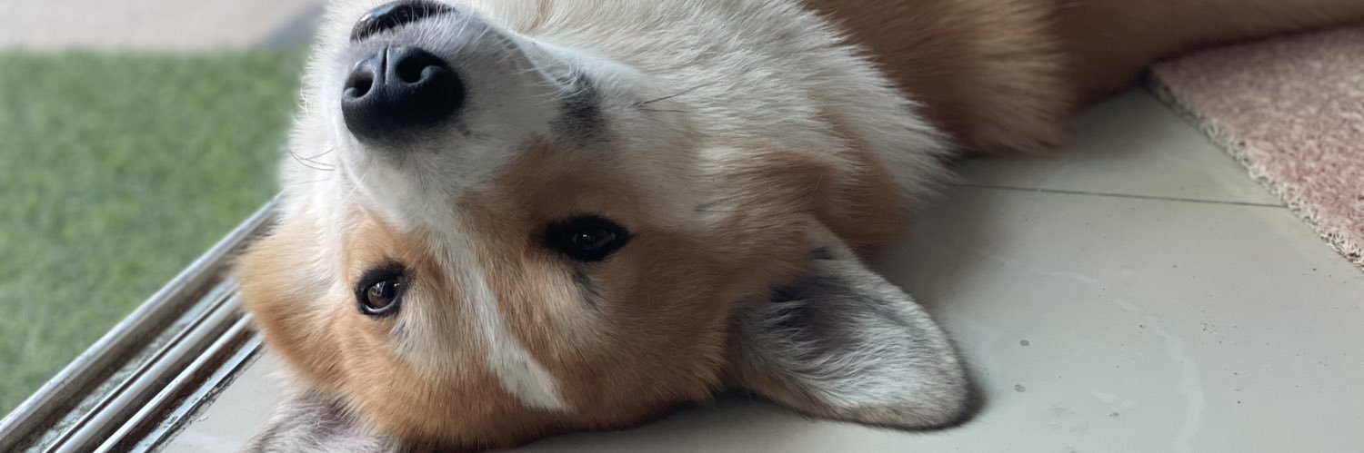 cherrypocky's profile banner image