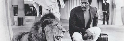 Lord Funk banner