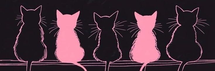 ishadoraalves's profile banner image