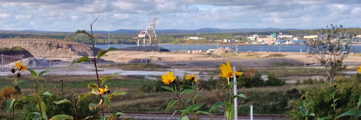 Suzanne MacNeil banner