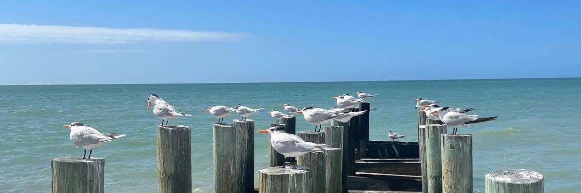 Yadel Lopez 🇺🇸 & 🇨🇺 banner