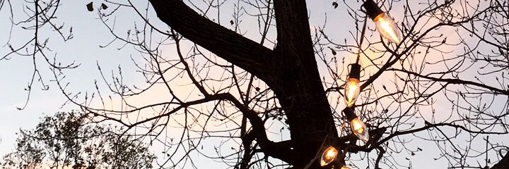 LovejoyYL's profile banner image