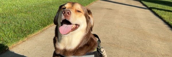 cdrich91 Profile Banner