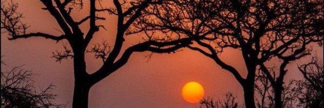 Memela06's profile banner image