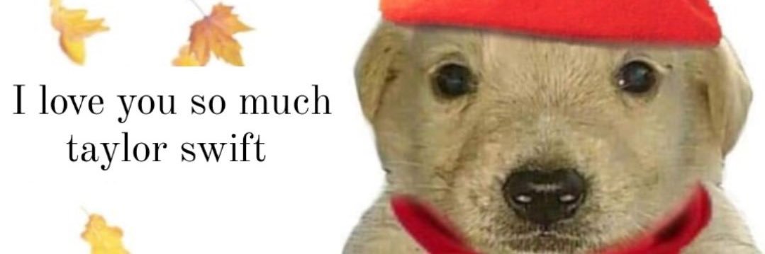 storyisover's profile banner image