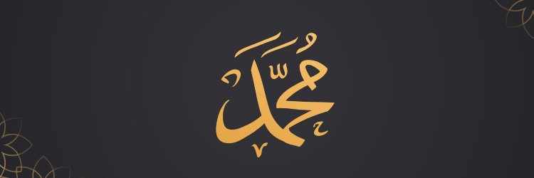 H35245's profile banner image