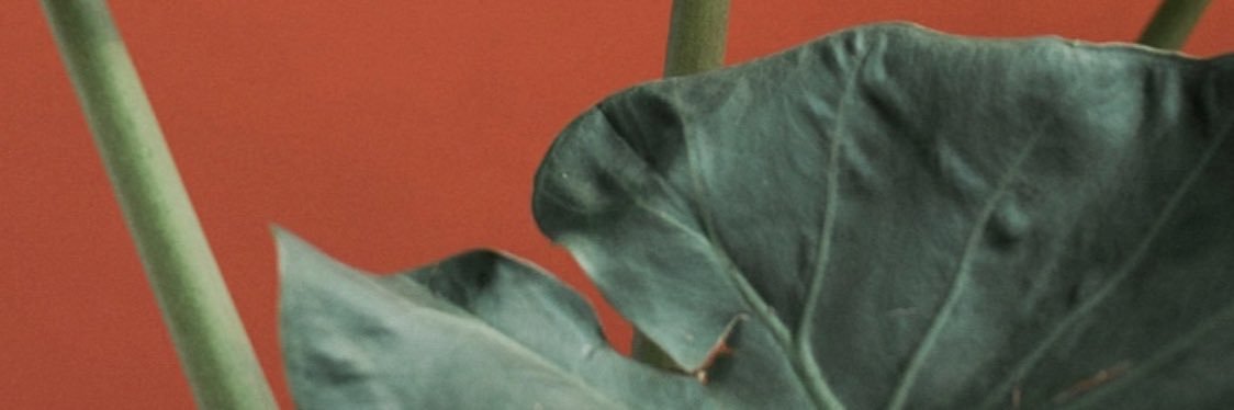 GenZTrading's profile banner image