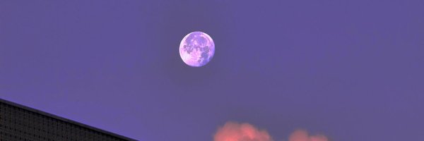 bubupearr Profile Banner
