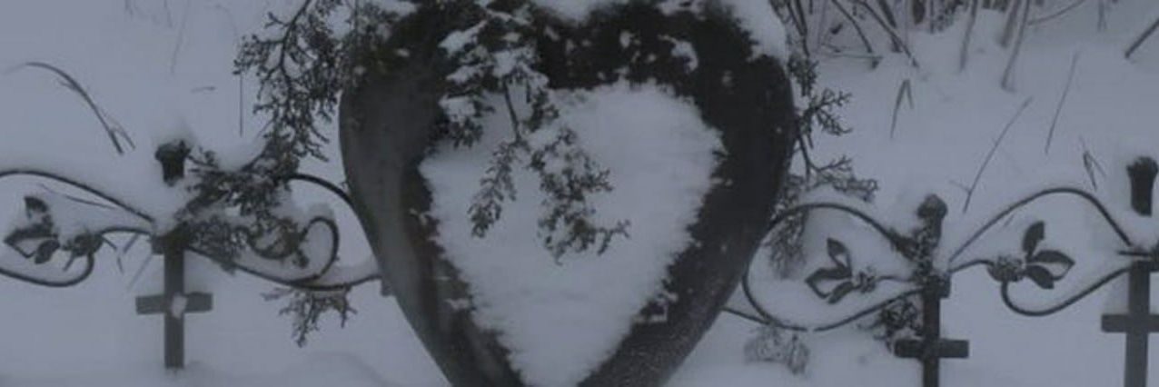 rileyswee's profile banner image