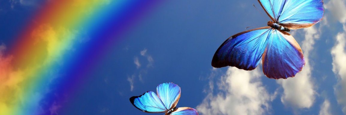 colourinmyworld's profile banner image