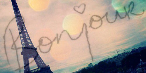 LPruneraPons's profile banner image