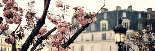 HelloDoryy's profile banner image