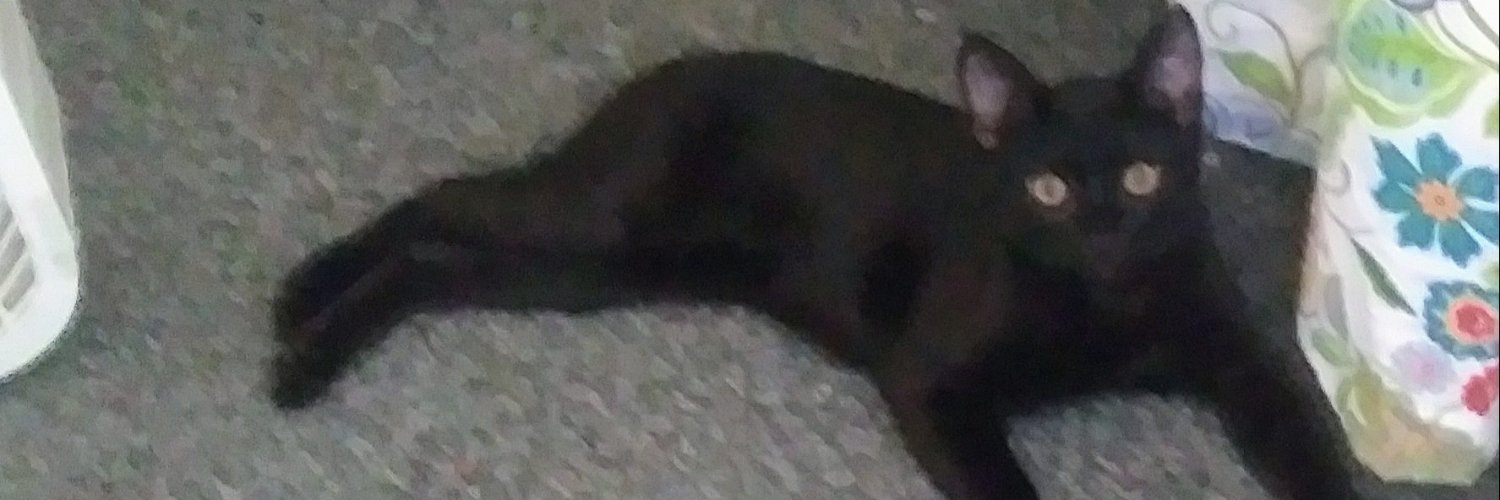 GhostLdyTN's profile banner image