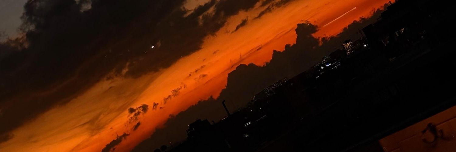 PalmSolangel's profile banner image