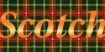 scotchisscotch's profile banner image