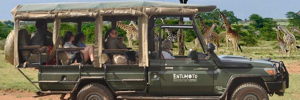 Entumoto's profile banner image