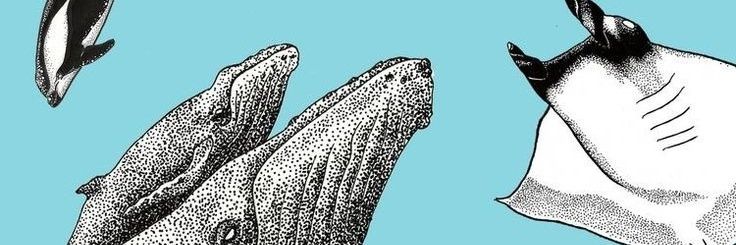 oohakbar's profile banner image