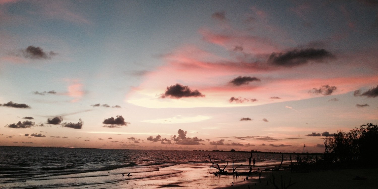 Mary McCool Berry banner