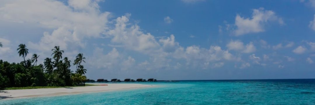 elviracua's profile banner image