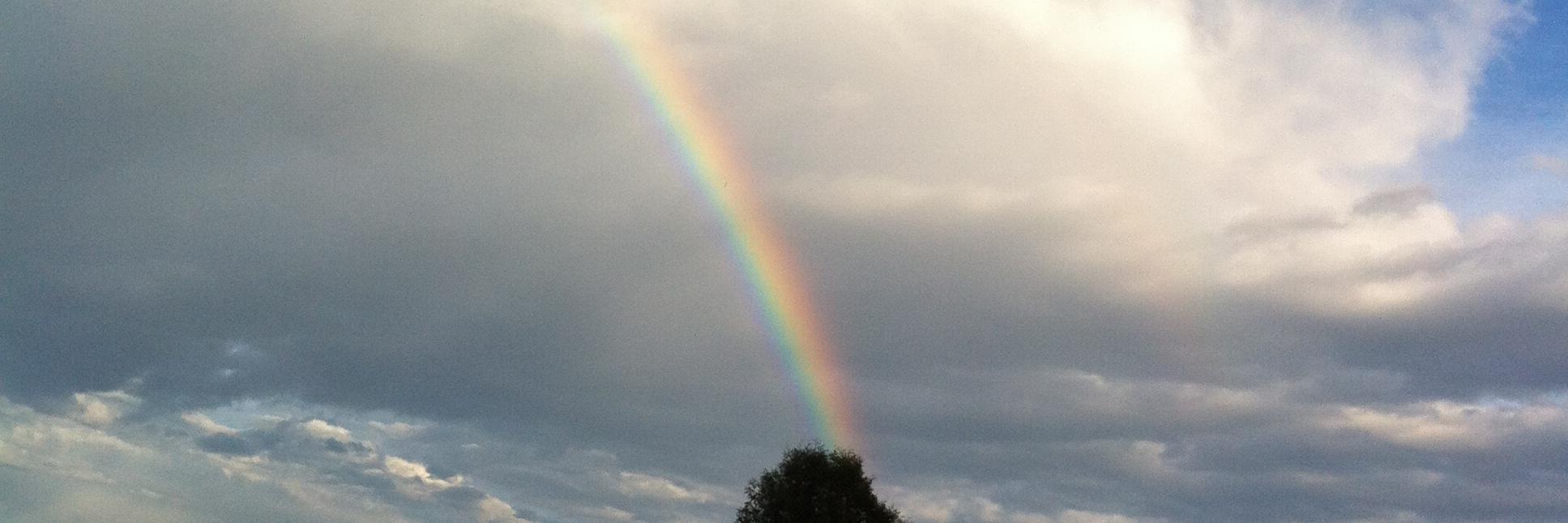 Sheila LeBlanc banner