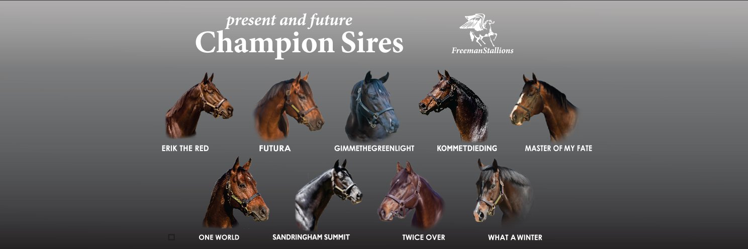 FreemanStallions banner
