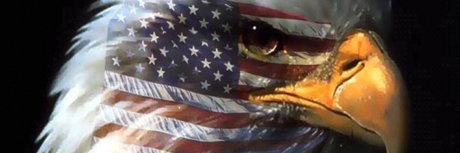 MsMegaPro1's profile banner image