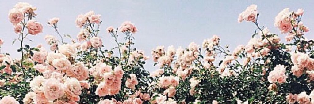 Aniindytaaa's profile banner image
