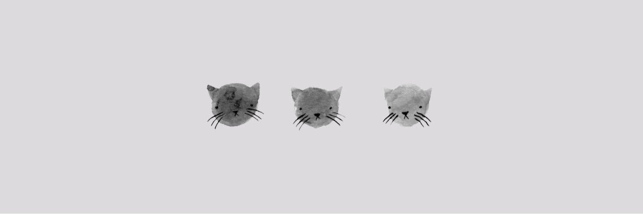 AmicableCharm's profile banner image