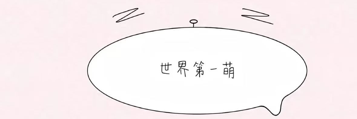 thays_kraws's profile banner image