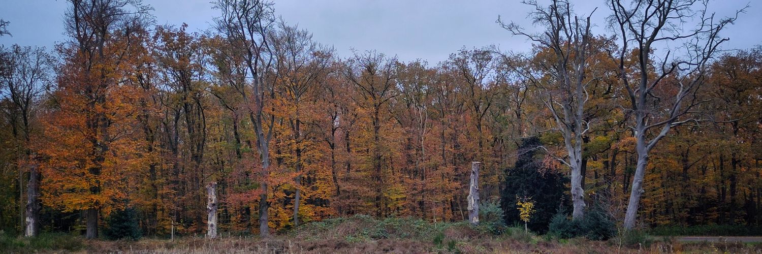 cenacdj's profile banner image