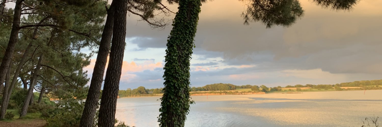 Calypsolr's profile banner image