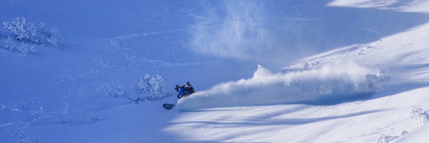SnowSweetStyle's profile banner image