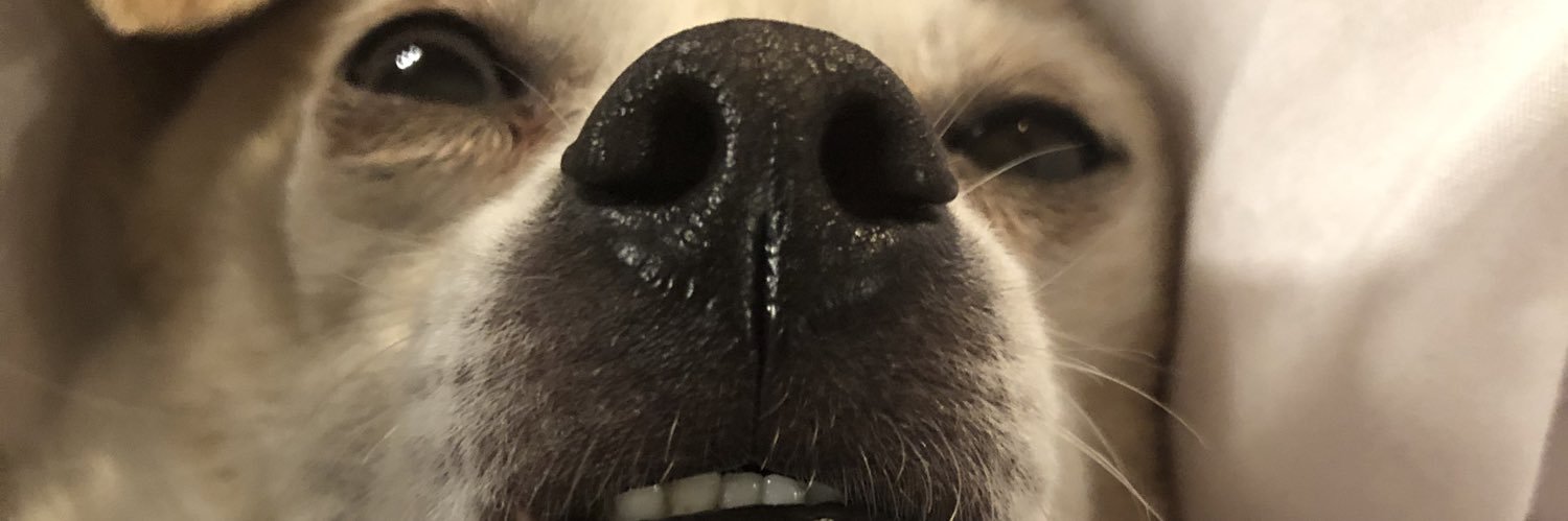 UrdnotHorner's profile banner image