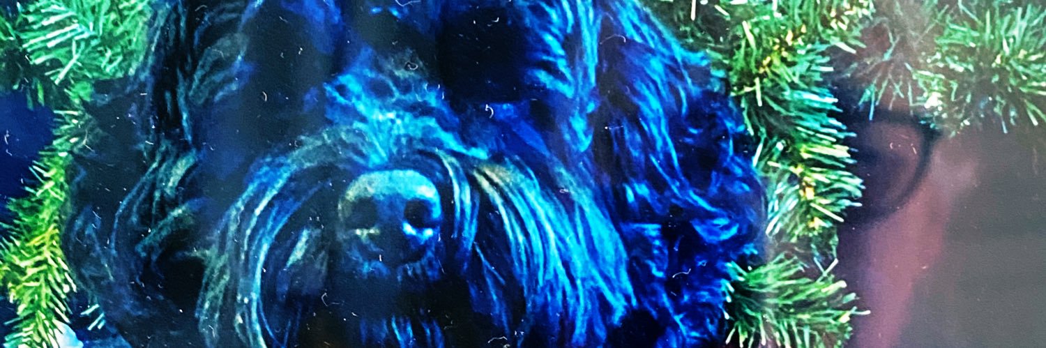 gill morrison banner