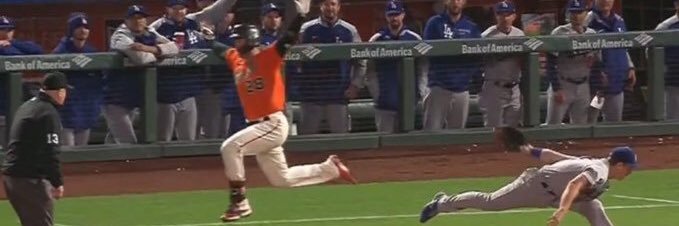 rule follower banner