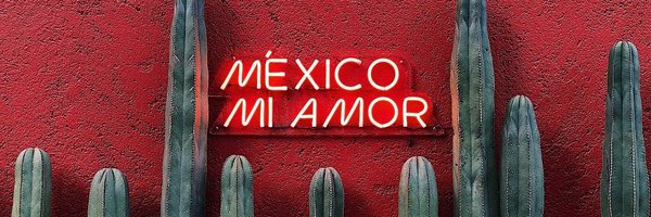 koste4 Profile Banner