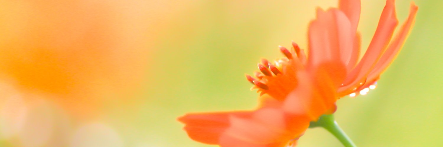 rayran_yo's profile banner image