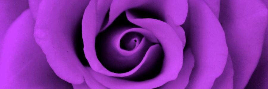pageelena's profile banner image