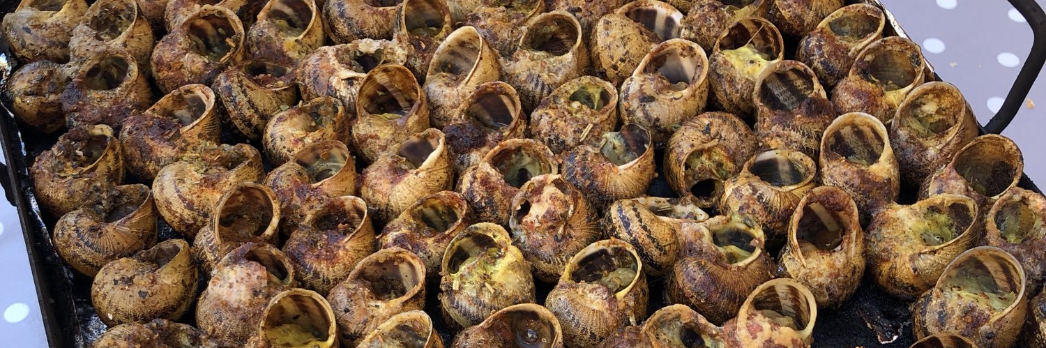 Xavier Cantons banner