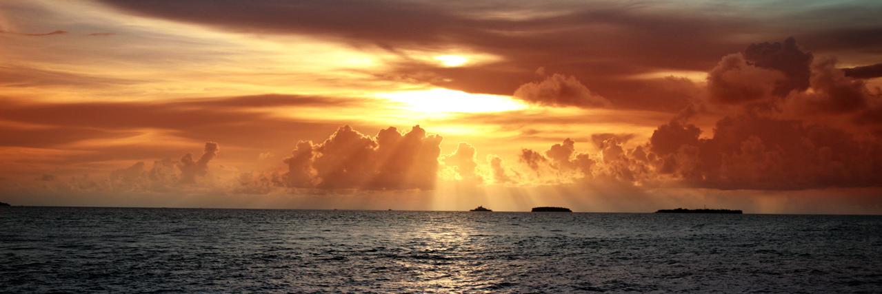 Я х нація banner