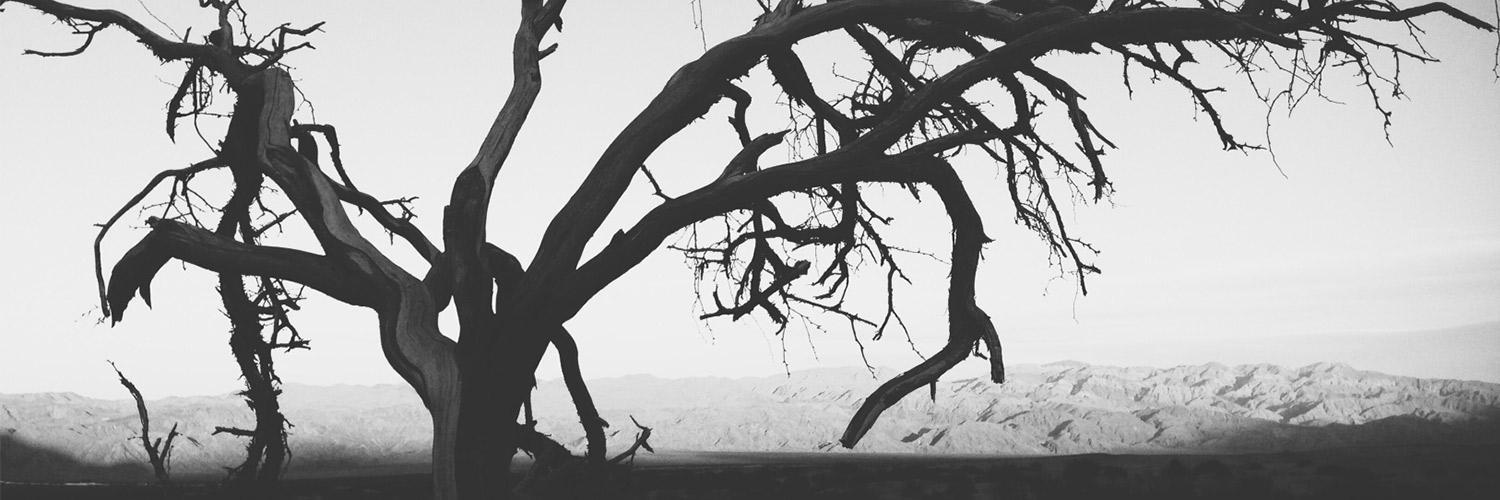 anettejunge's profile banner image