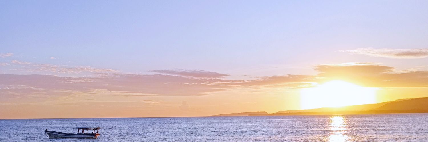 veravinere's profile banner image